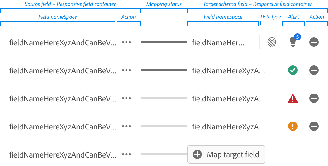 Mapping Fields Anatomy